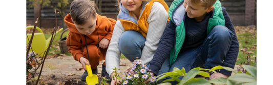 Nurturing Childrens Potential: Utilize the Power of Winter Gardening - Colorland Toys