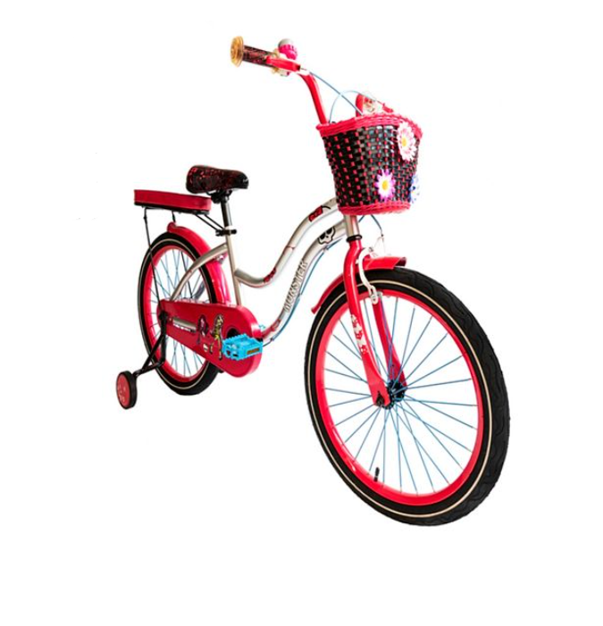 Little Angel Bicycle 16 inch Lovable Silver - Colorland Toys