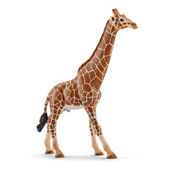 Schleich Giraffe Female Figure - Colorland Toys