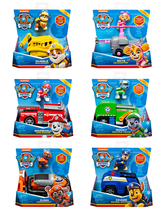 Paw Patrol Basic Vehicle with Pup Assorted 6052310 - Colorland Toys