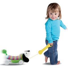 LeapFrog AlphaPup Pull-Along Toddler Learning ABC 80-19241E - Colorland Toys