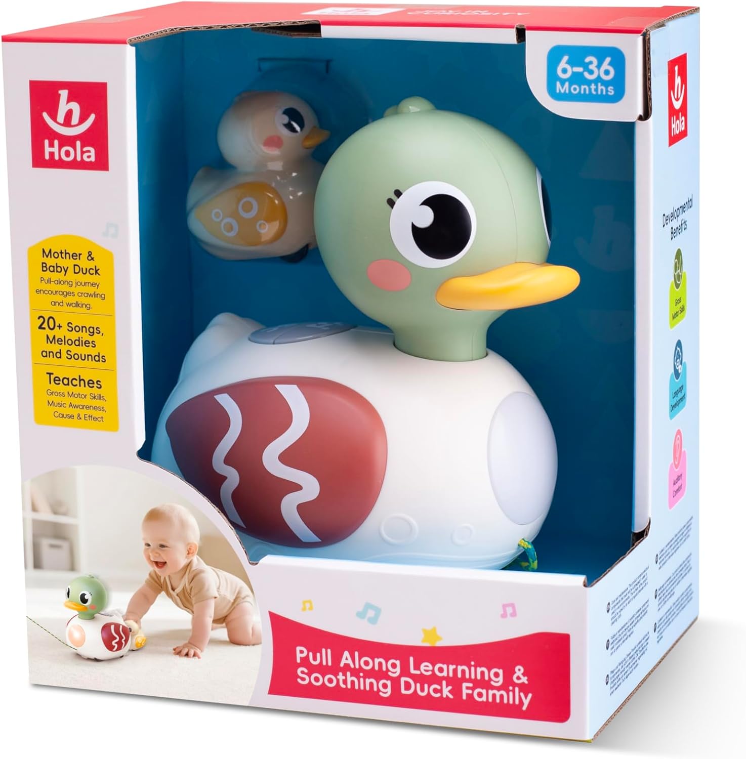 Hola Pull-Along Duck Family Toy for Babies – Interactive Music & Lights — view 4