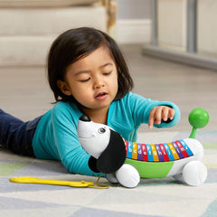 LeapFrog AlphaPup Pull-Along Toddler Learning ABC 80-19241E - Colorland Toys