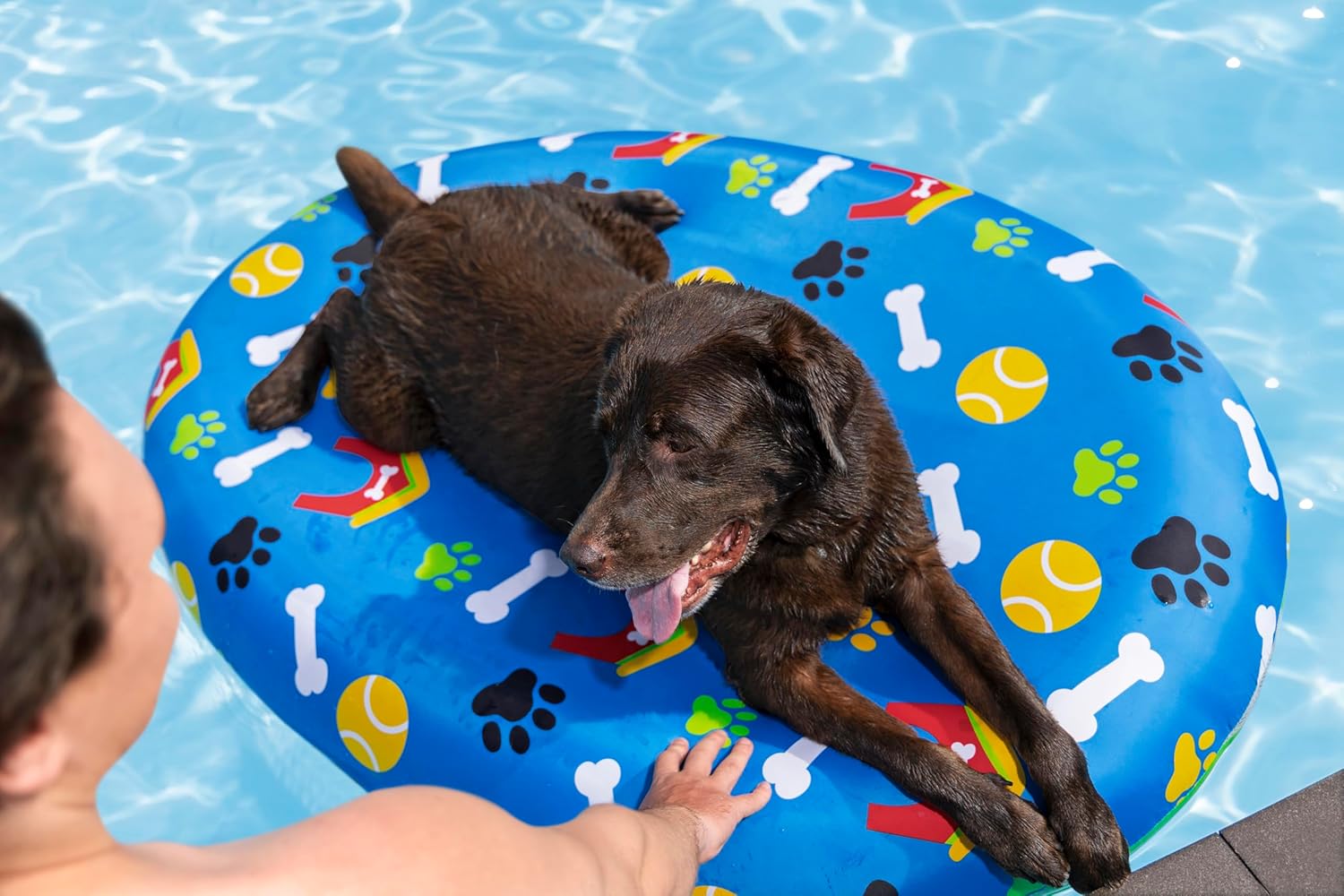Bestway Pet Paw Air Mattress for Pets, 142 x 95 x 17 cm, 45 kg Capacity — view 4