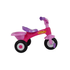 Duckids Tricycle Pink LB 228 - Colorland Toys