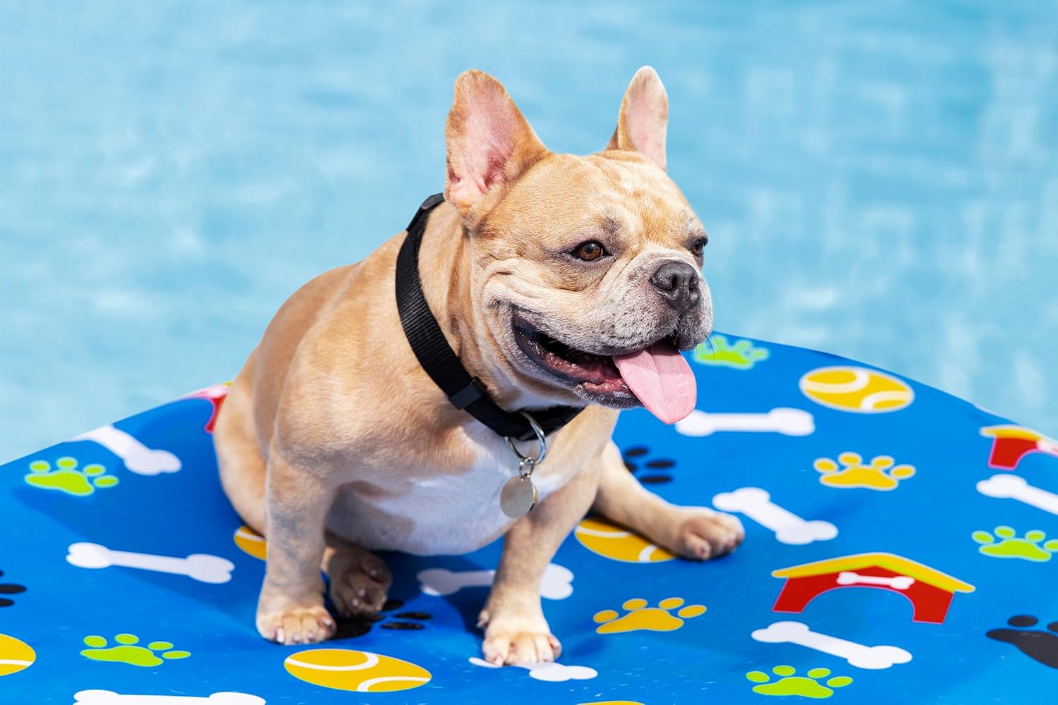 Bestway Pet Paw Air Mattress for Pets, 142 x 95 x 17 cm, 45 kg Capacity — view 5
