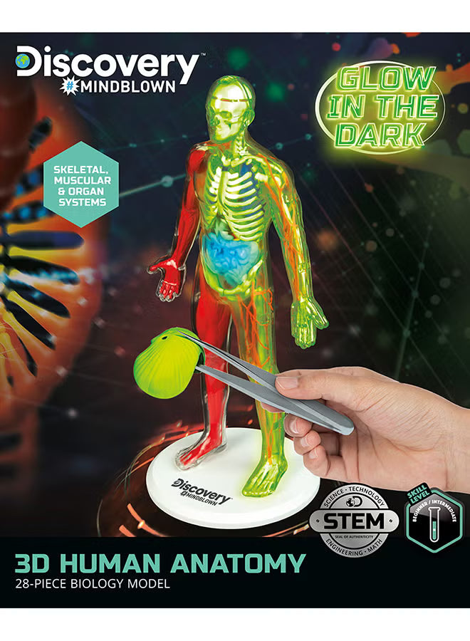 Discovery Mindblown - 3D Human Anatomy Kit - Colorland Toys