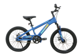 Raccoon Bicycle 22 Inch Blue TN24R67 22IN - Colorland Toys