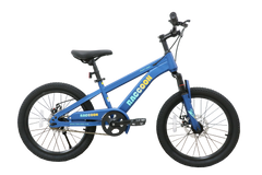 Raccoon Bicycle 22 Inch Blue TN24R67 22IN - Colorland Toys