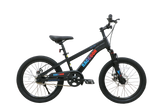 Raccoon Bicycle 20 Inch Black TN24R67 20IN - Colorland Toys