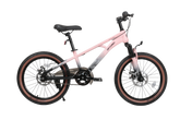 Qitong Bicycle 20 Inch Pink TN23A04 20IN - Colorland Toys