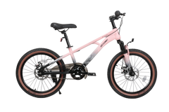 Qitong Bicycle 20 Inch Pink TN23A04 20IN - Colorland Toys