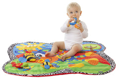 Clip Clop Musical Activity Gym - Colorland Toys