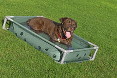 Bestway Fetchin Fun Pet Play Pool And Elevated Bed 561RG - Colorland Toys