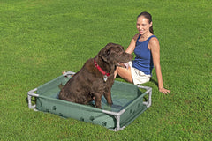 Bestway Fetchin Fun Pet Play Pool And Elevated Bed 561RG - Colorland Toys