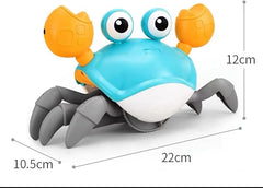 Infini Fun Push n' Go Crab - Colorland Toys