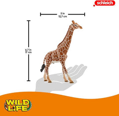 Schleich Giraffe Male 14749 - Colorland Toys