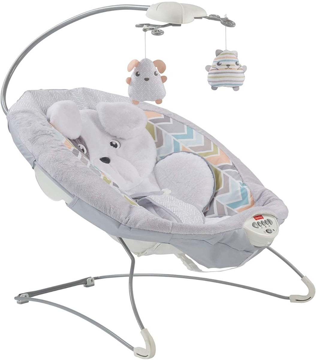 Fisher-Price Sweet Snugapuppy Deluxe Bouncer GWD50 - Colorland Toys
