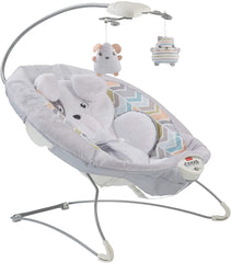 Fisher-Price Sweet Snugapuppy Deluxe Bouncer GWD50 - Colorland Toys