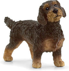 Schleich Wire-Haired Dachshund 13972 - Colorland Toys