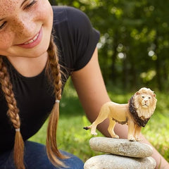 Schleich Lion 14812 - Colorland Toys