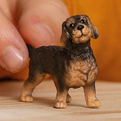 Schleich Wire-Haired Dachshund 13972 - Colorland Toys