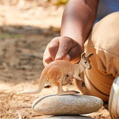 Schleich Kangaroo 14756 - Colorland Toys