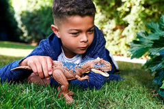 Jurassic World Dominion Roar Strikers - Rajasaurus HDX35/HDX17 - Colorland Toys