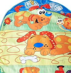 Baby Blanket Gym - Colorland Toys