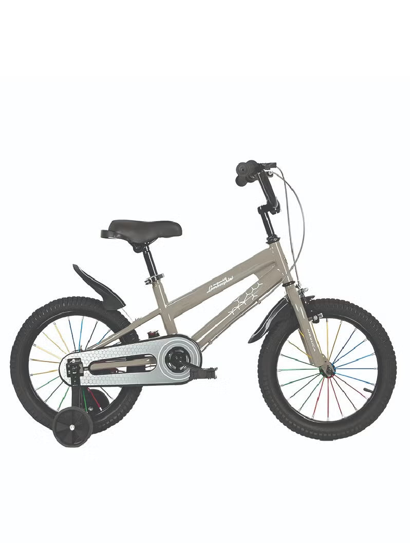 Lamborghini Kids Bicycle 16 Inch Grey LBK012-GM