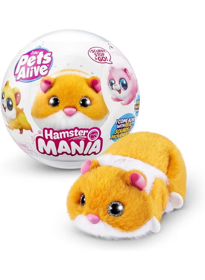 Pets Alive Hamstermania Capsule 9543GQ1 - Colorland Toys