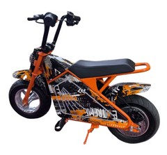 Pro Ride Mini Motorcycle 36V PR018-04/PR018-05 - Colorland Toys