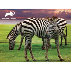 Animal Planet Zebra Plush & Prime 3D Puzzle 48 Pieces 15806 - Colorland Toys