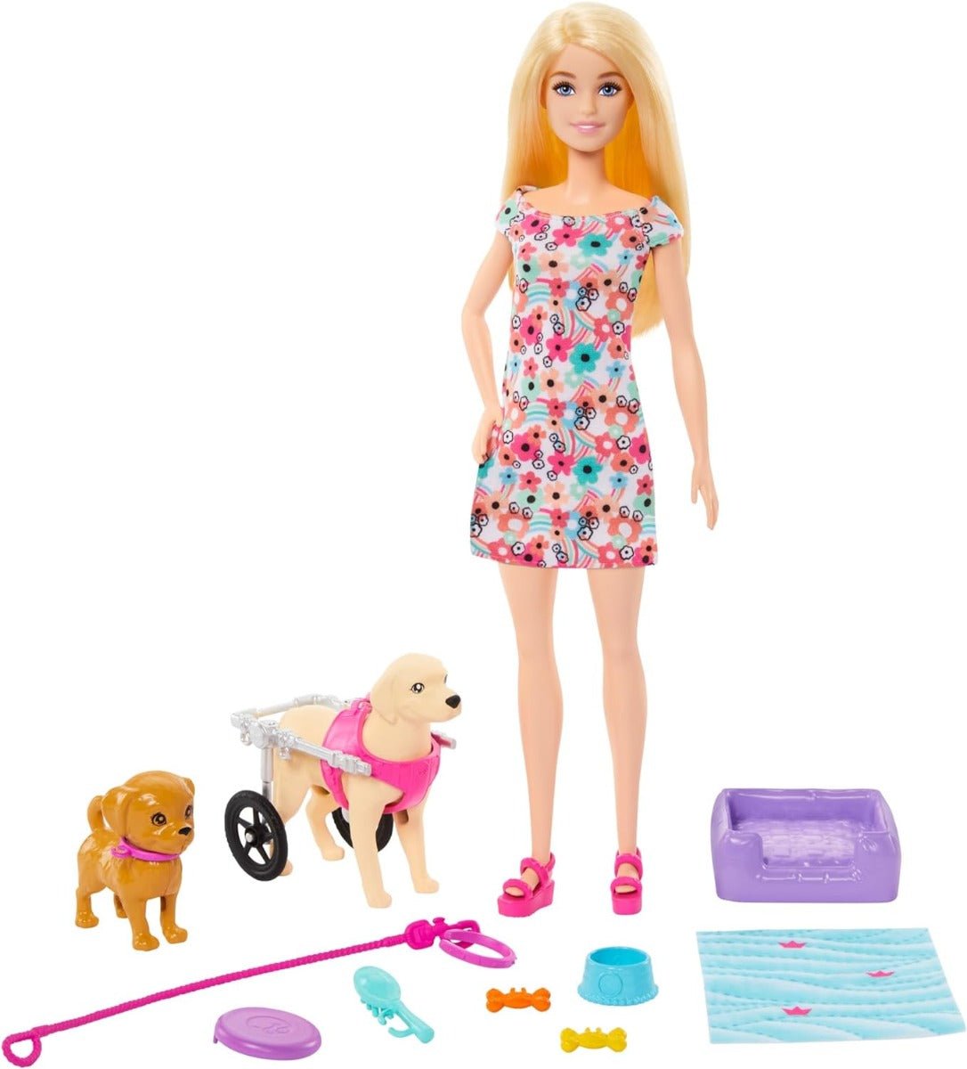Barbie Walk & Wheel Pet Playset HTK37 - Colorland Toys