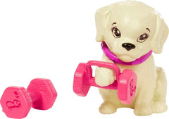 Barbie Wellness Workout Outfit Roller Skates and Tennis with Puppy HKT91 - Colorland Toys