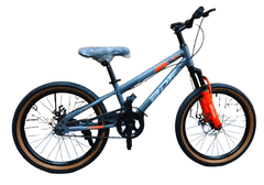 Bicycle 20 BDF Grey B11394 - Colorland Toys