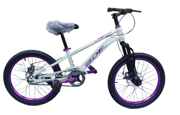 Bicycle 20 BDF Purple B11470 - Colorland Toys