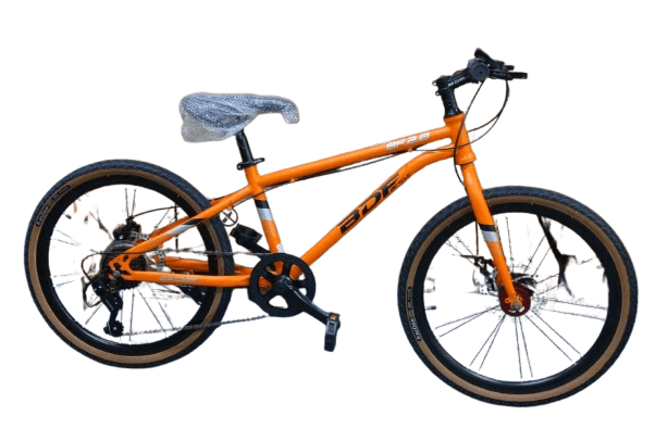 Bicycle 22 BDF Orange B11472 - Colorland Toys