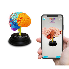 Eastcolight Ar Brain Professional Model 35001 - Colorland Toys
