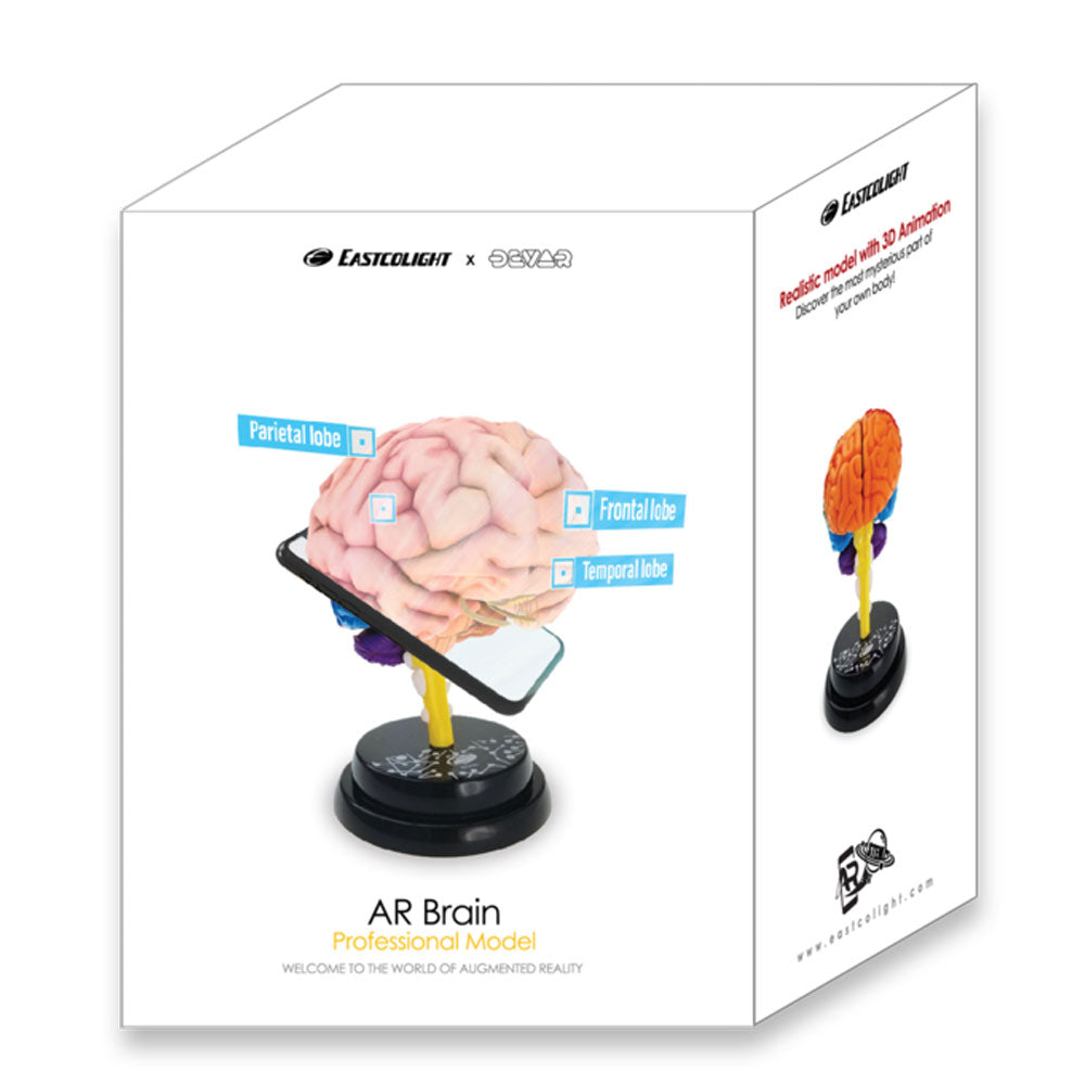 Eastcolight Ar Brain Professional Model 35001 - Colorland Toys