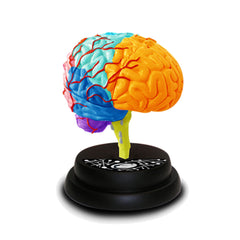Eastcolight Ar Brain Professional Model 35001 - Colorland Toys