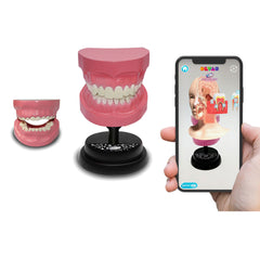 Eastcolight AR Teeth Professional Model 35003 - Colorland Toys