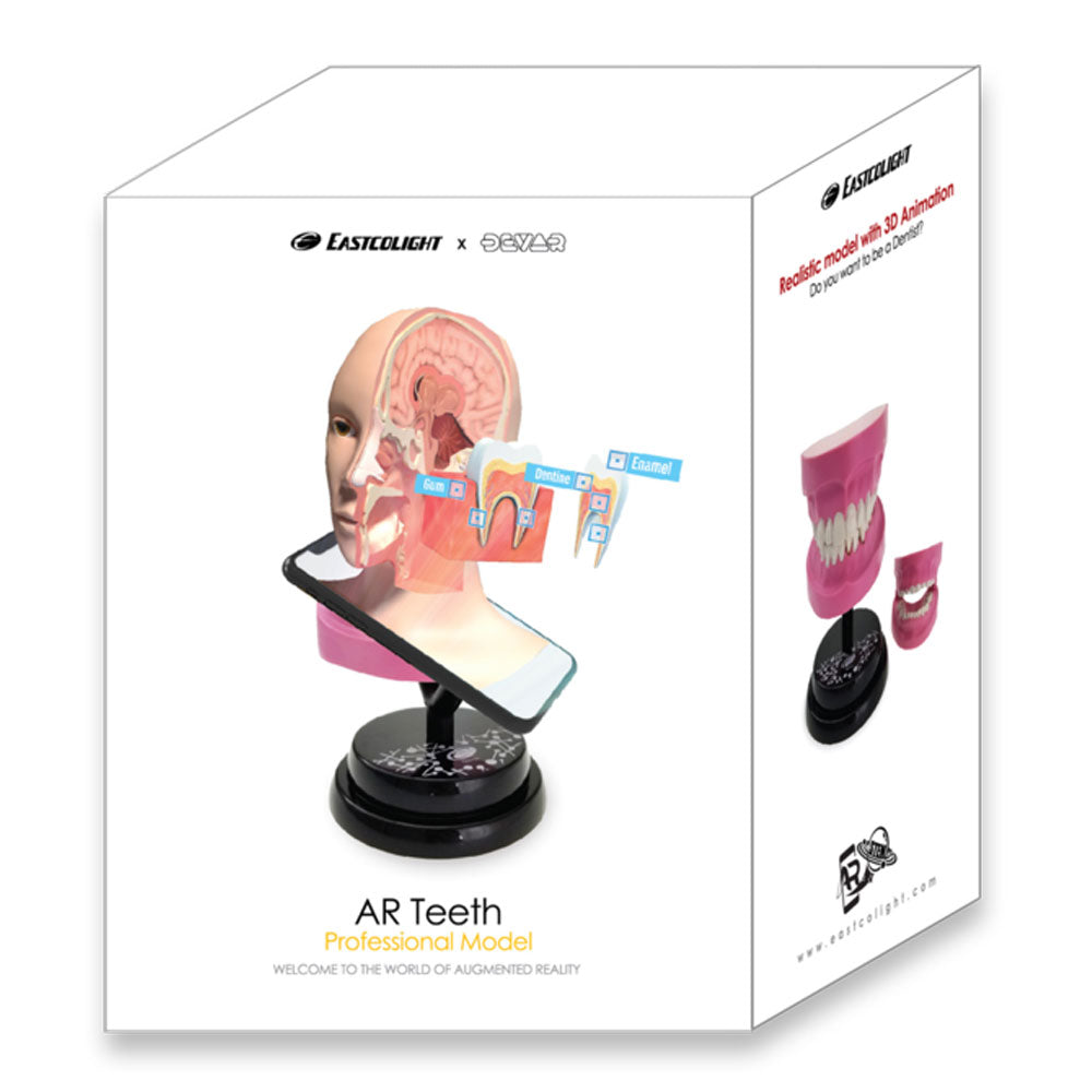 Eastcolight AR Teeth Professional Model 35003 - Colorland Toys