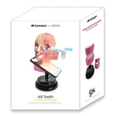 Eastcolight AR Teeth Professional Model 35003 - Colorland Toys