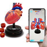 Eastcolight AR Cardiology Professional Model 35004 - Colorland Toys