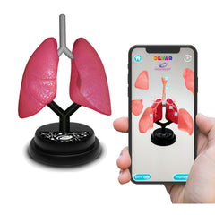 Eastcolight AR Respiratory Professional Model 35005 - Colorland Toys