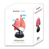 Eastcolight AR Respiratory Professional Model 35005 - Colorland Toys