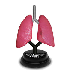 Eastcolight AR Respiratory Professional Model 35005 - Colorland Toys