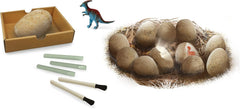 Buki Dino Mega Egg - Maxi Pack X12 2138 - Colorland Toys