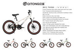 Qitong Bicycle 20 Inch Pink TN23A04 20IN - Colorland Toys